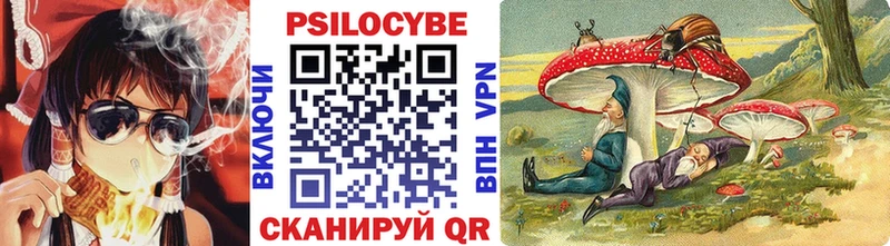 Галлюциногенные грибы Cubensis hydra tor Спас-Клепики